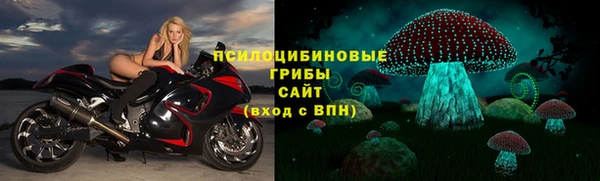 гашик Абдулино