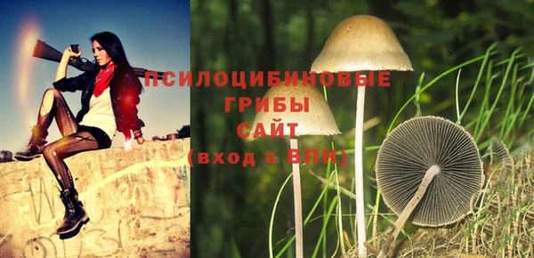 spice Абинск