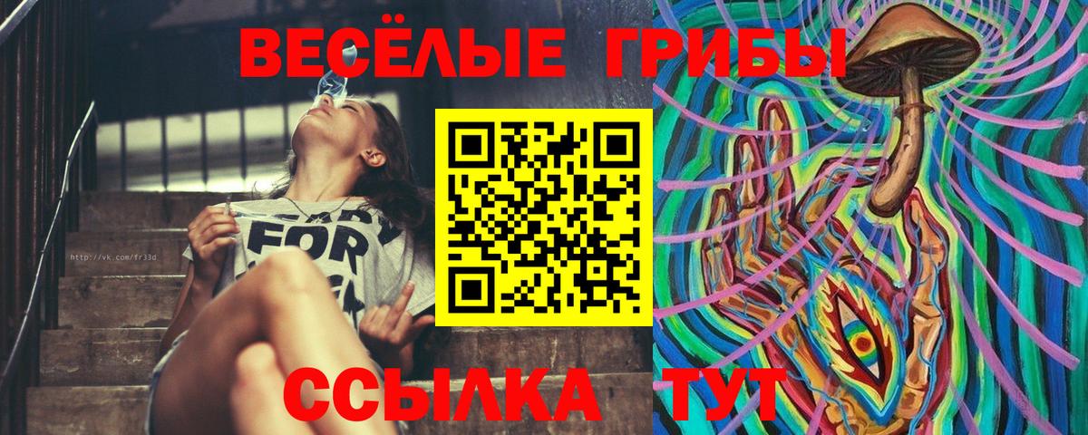 Галлюциногенные грибы GOLDEN TEACHER Приморско-Ахтарск