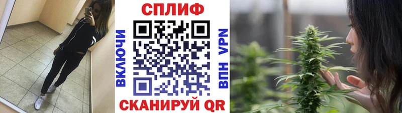 купить наркотики цена  Приморско-Ахтарск  Конопля OG Kush 